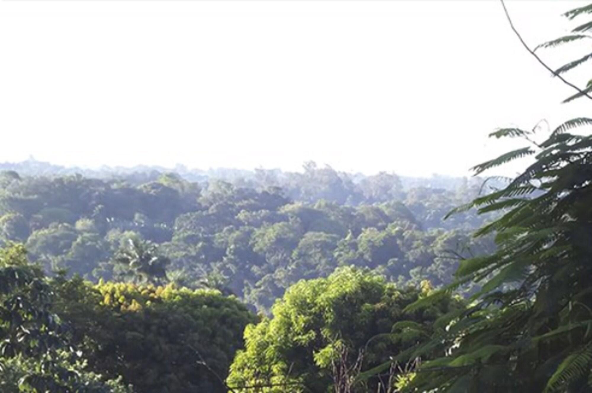 Iguazu Urban Hotel Express ปูแอร์โตอีกวาซู ภายนอก รูปภาพ